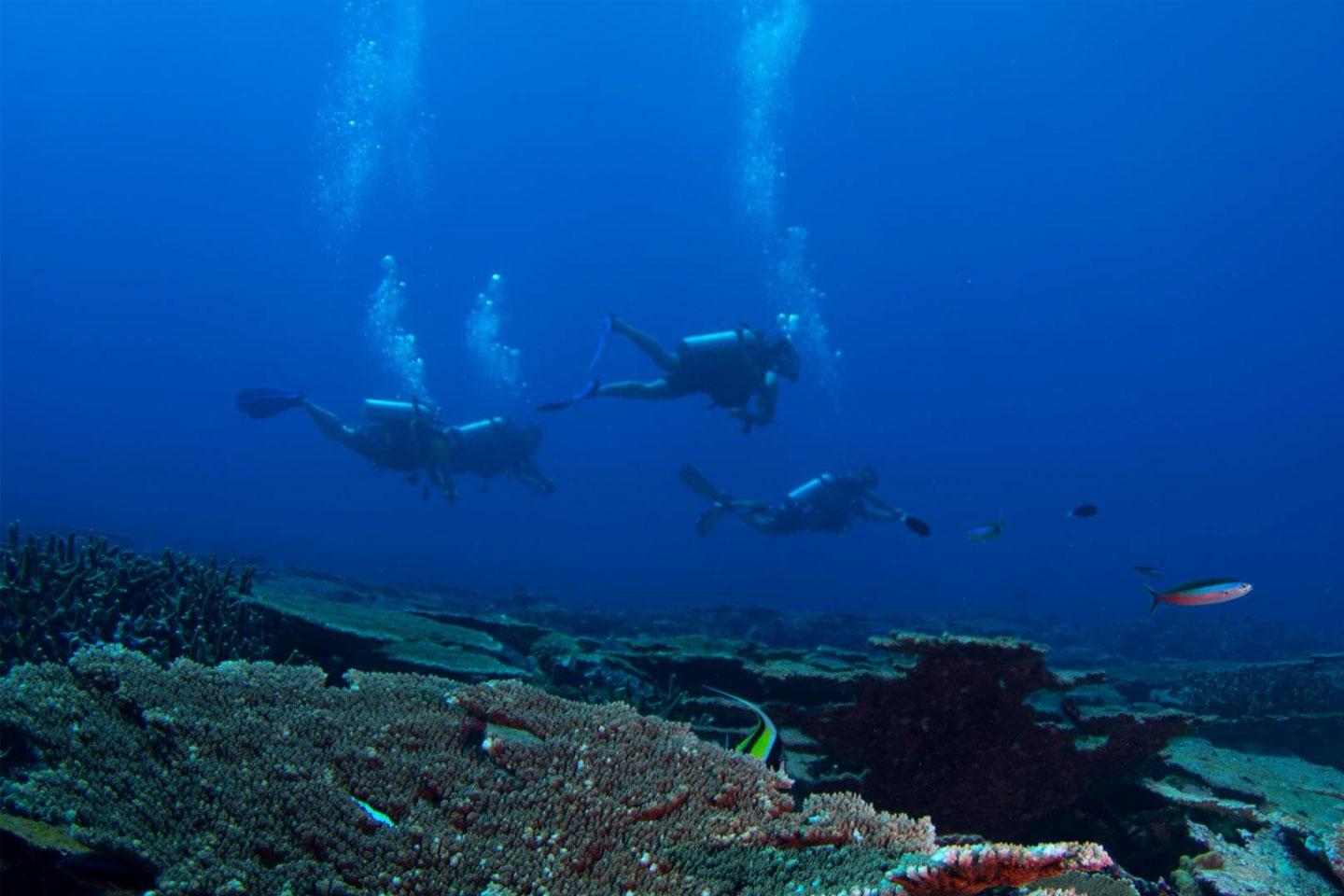Explore the Underwater World