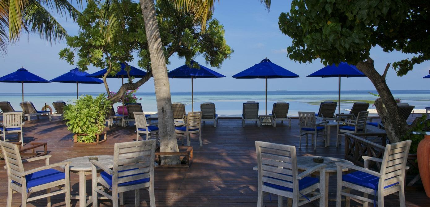 DHONI BAR